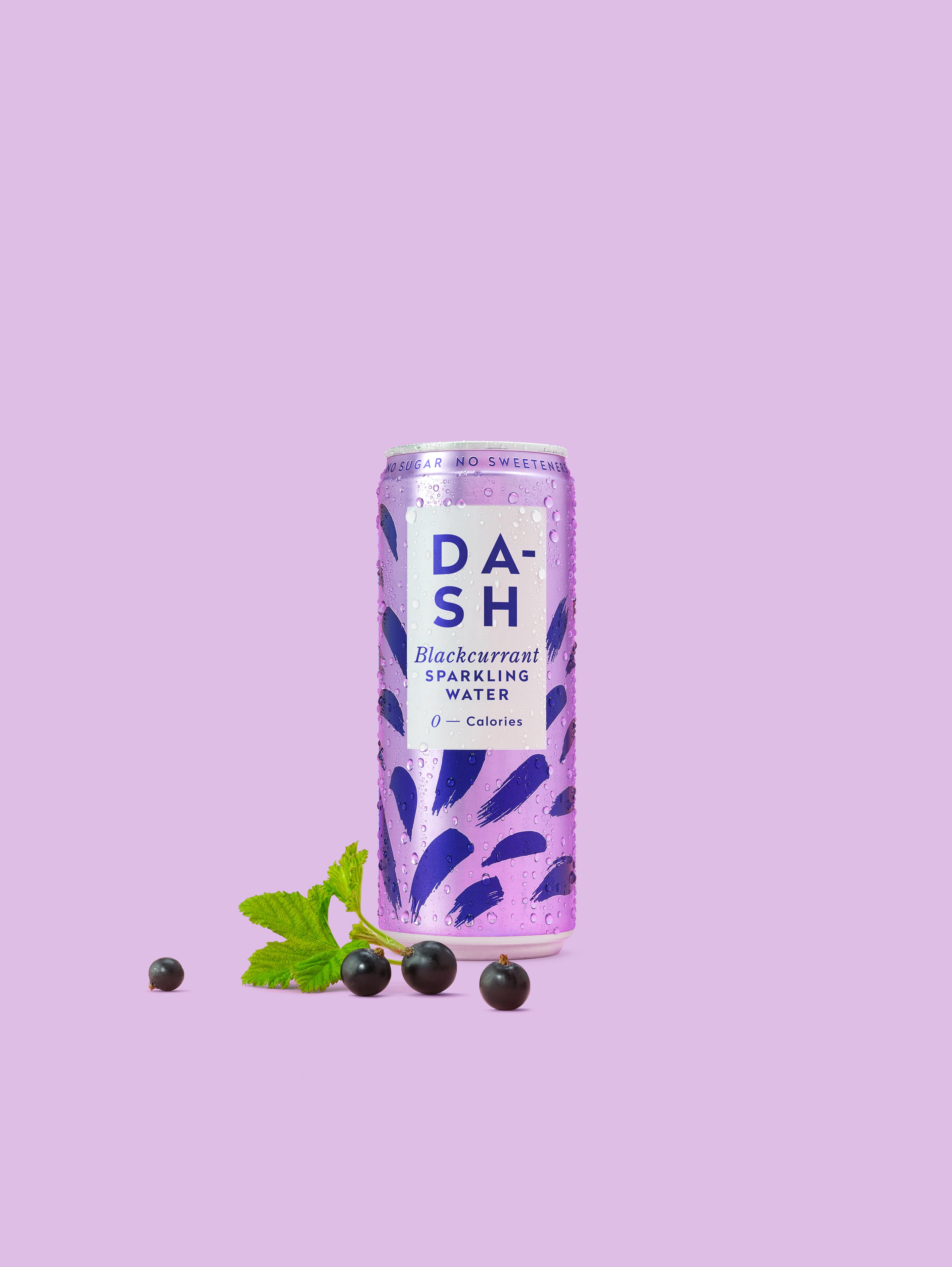 Dash Water - Blackcurrant Sparkling Water 330ml