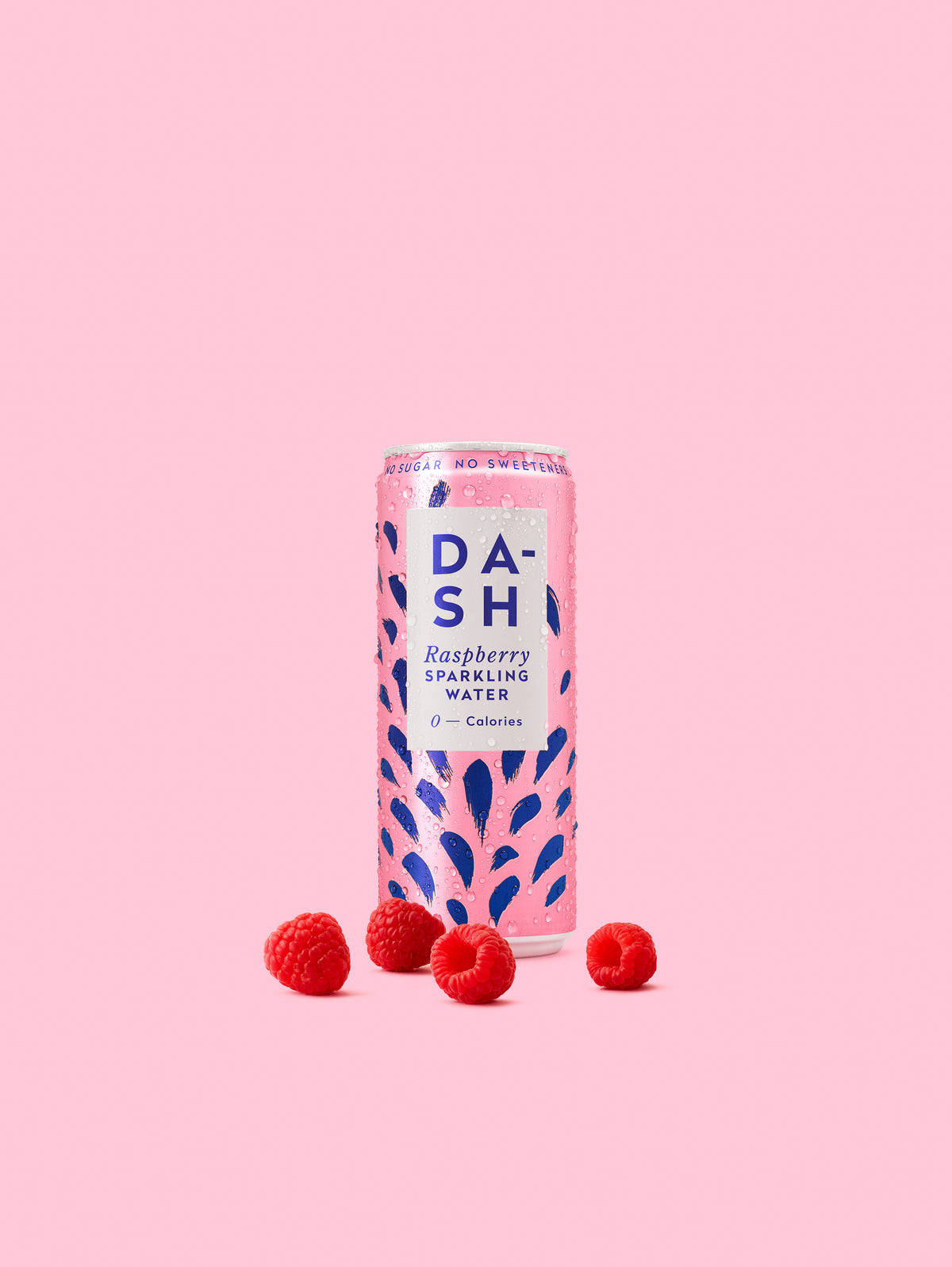 Dash Sparkling Raspberry Dash Water - Raspberry Sparkling Water Case 12 x 330 ml – Chew & Chill