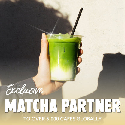 PerfectTed Vanilla Matcha cafes